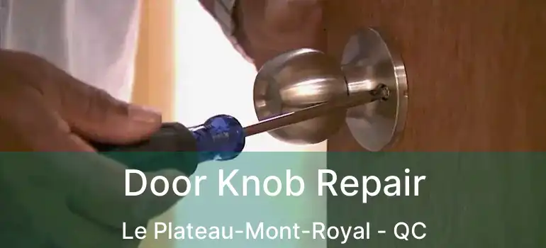  Door Knob Repair Le Plateau-Mont-Royal - QC