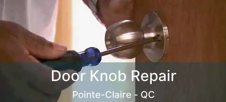  Door Knob Repair Pointe-Claire - QC