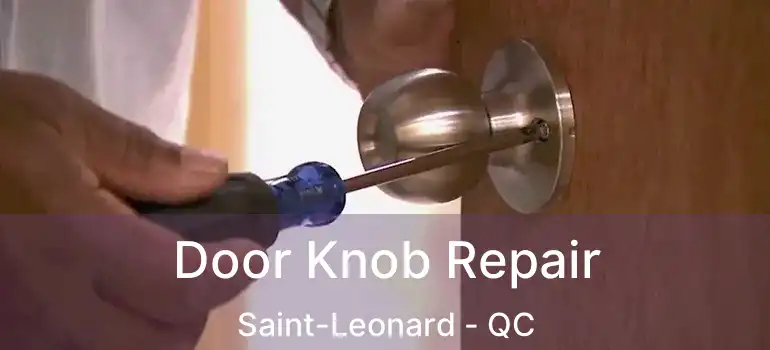  Door Knob Repair Saint-Leonard - QC