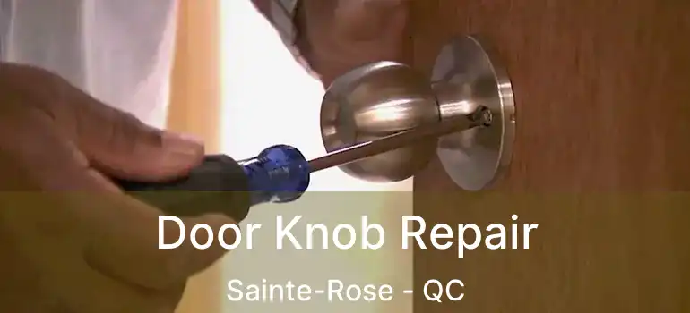 Door Knob Repair Sainte-Rose - QC