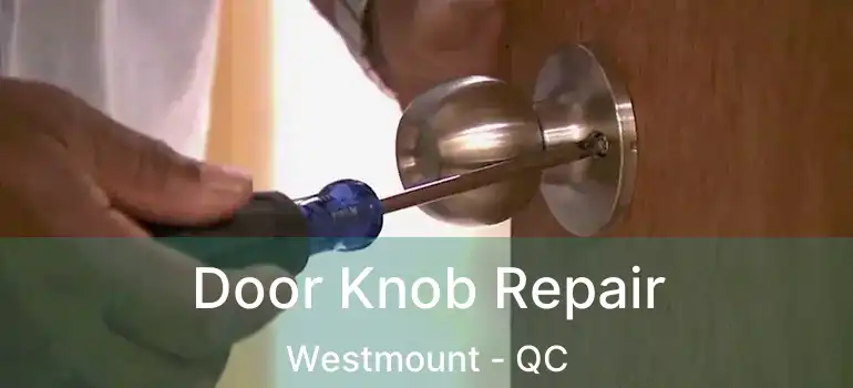  Door Knob Repair Westmount - QC