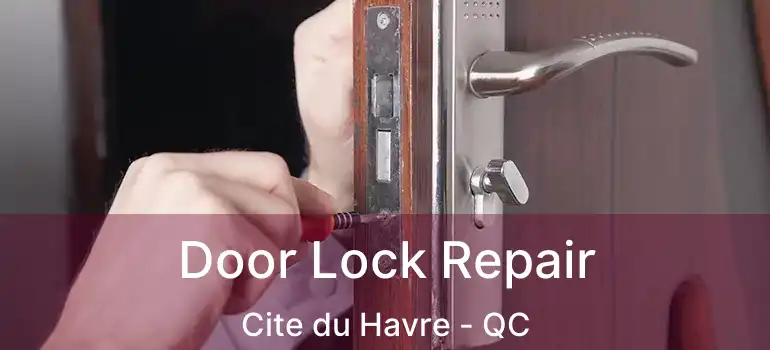  Door Lock Repair Cite du Havre - QC