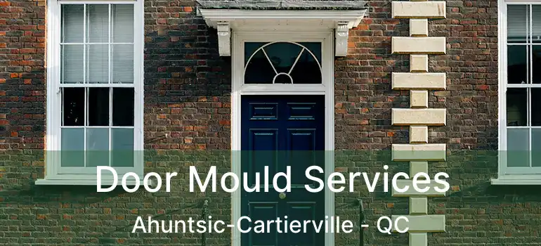  Door Mould Services Ahuntsic-Cartierville - QC