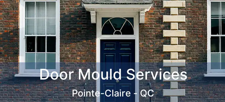  Door Mould Services Pointe-Claire - QC