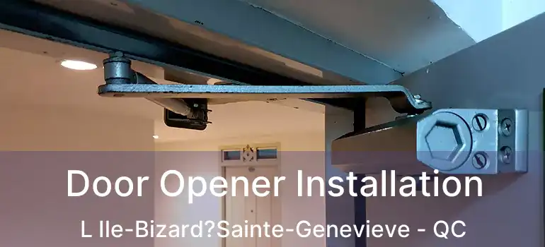  Door Opener Installation L Ile-Bizard?Sainte-Genevieve - QC