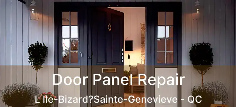  Door Panel Repair L Ile-Bizard?Sainte-Genevieve - QC
