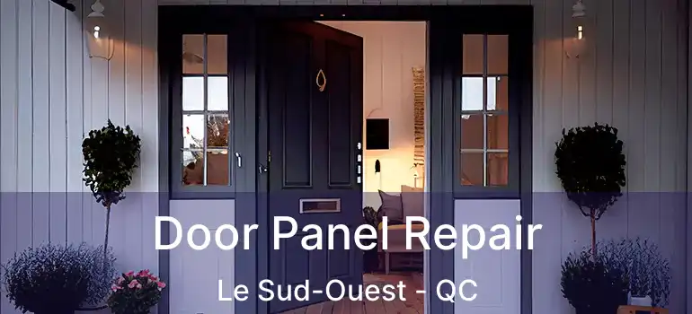  Door Panel Repair Le Sud-Ouest - QC
