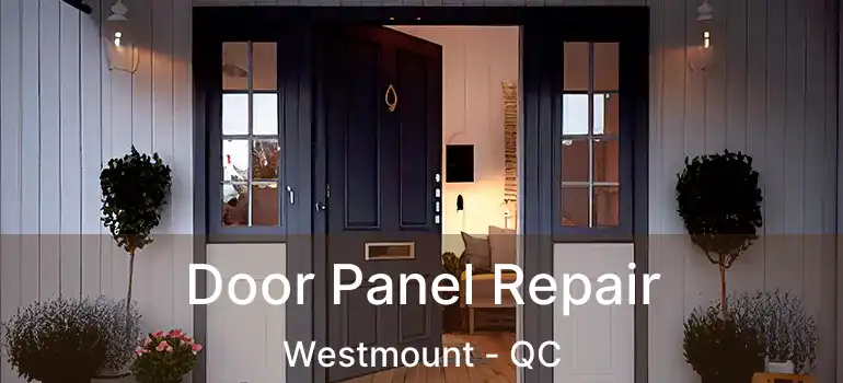  Door Panel Repair Westmount - QC