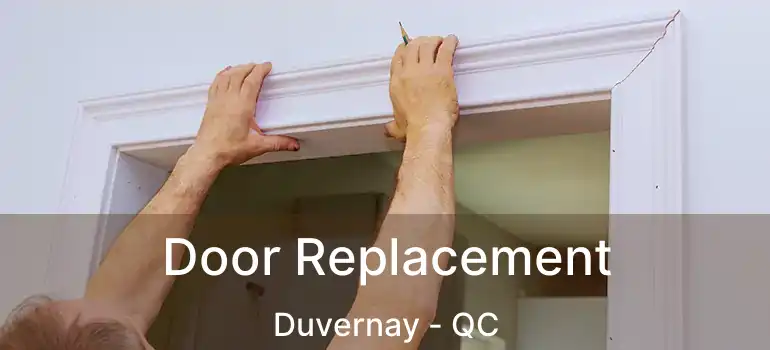  Door Replacement Duvernay - QC