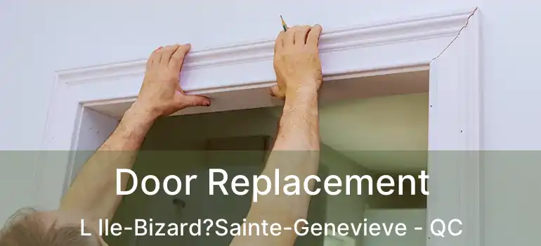  Door Replacement L Ile-Bizard?Sainte-Genevieve - QC