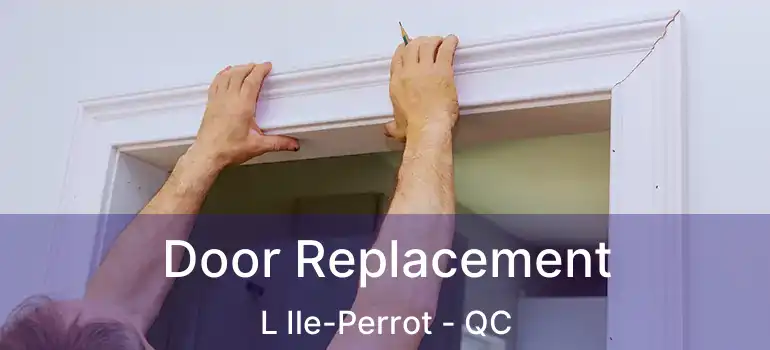  Door Replacement L Ile-Perrot - QC