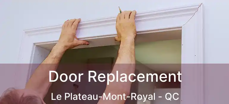  Door Replacement Le Plateau-Mont-Royal - QC