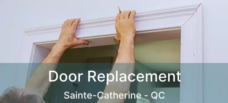  Door Replacement Sainte-Catherine - QC