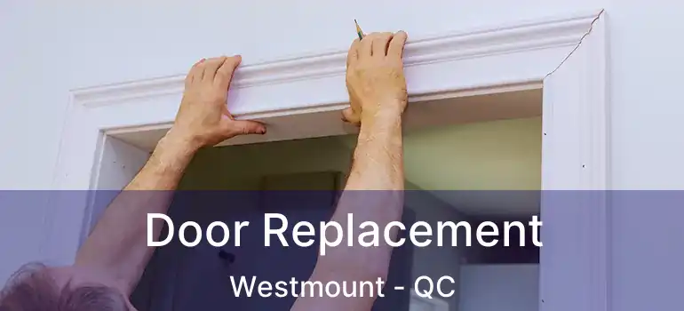  Door Replacement Westmount - QC