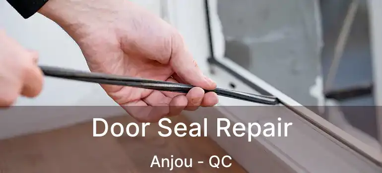  Door Seal Repair Anjou - QC