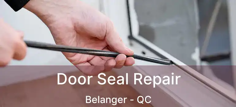  Door Seal Repair Belanger - QC