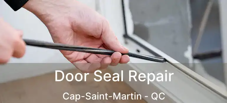 Door Seal Repair Cap-Saint-Martin - QC