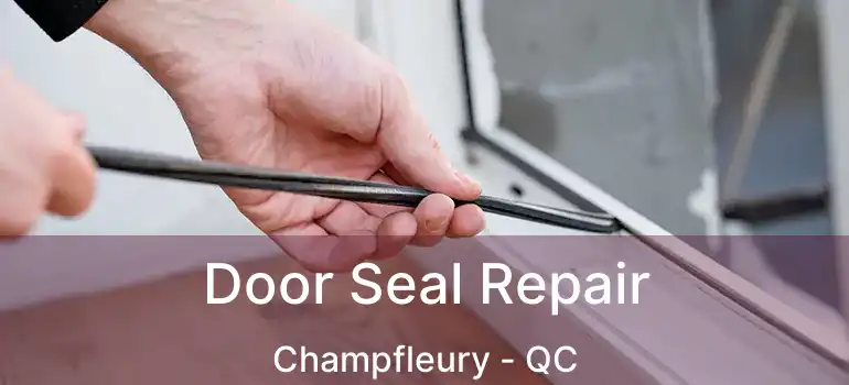  Door Seal Repair Champfleury - QC