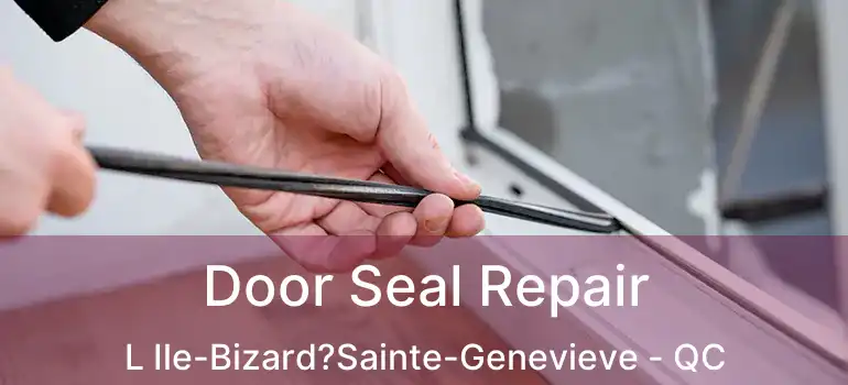  Door Seal Repair L Ile-Bizard?Sainte-Genevieve - QC