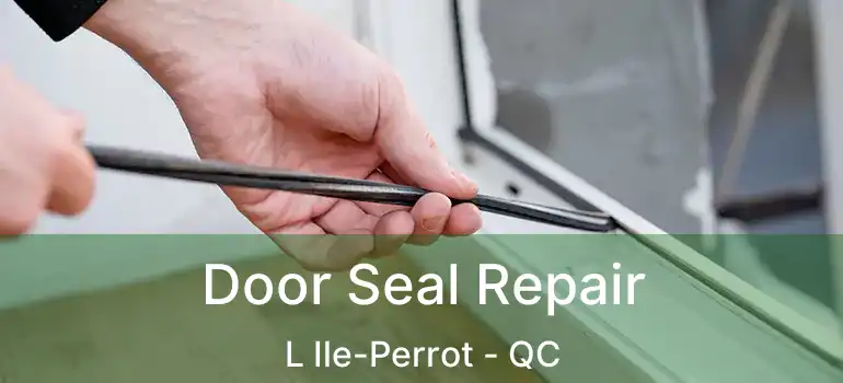  Door Seal Repair L Ile-Perrot - QC