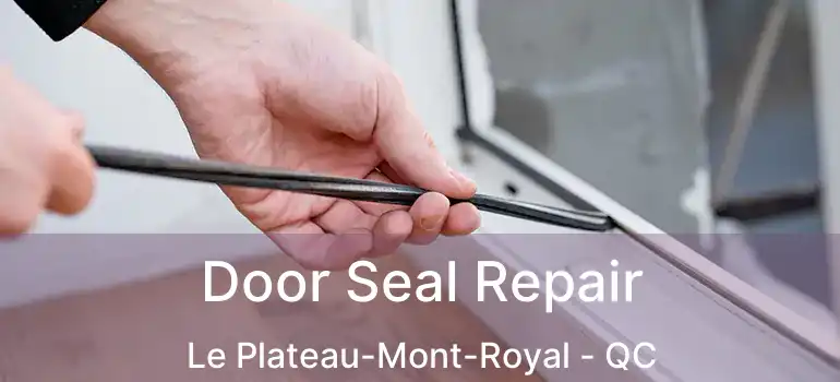 Door Seal Repair Le Plateau-Mont-Royal - QC