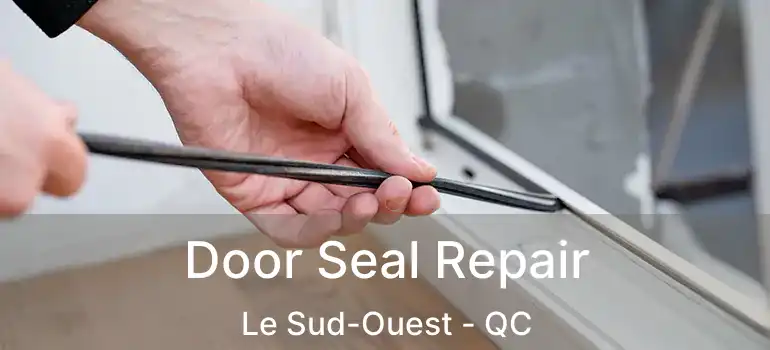 Door Seal Repair Le Sud-Ouest - QC