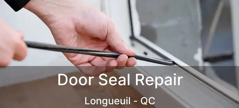  Door Seal Repair Longueuil - QC