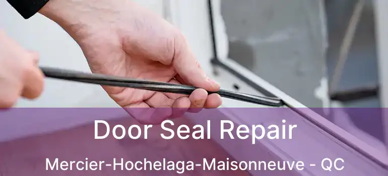  Door Seal Repair Mercier-Hochelaga-Maisonneuve - QC