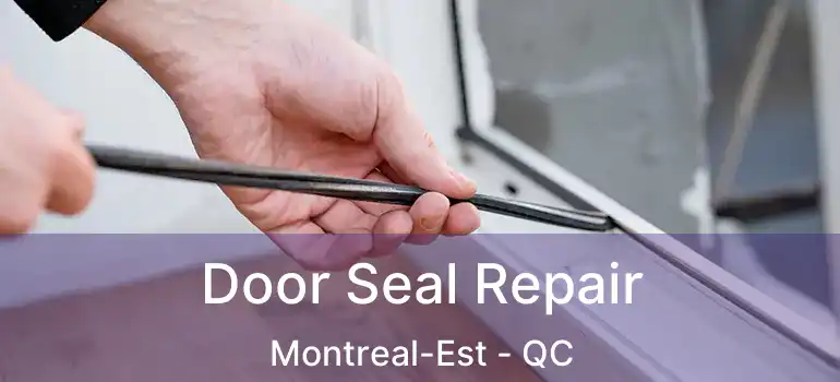  Door Seal Repair Montreal-Est - QC