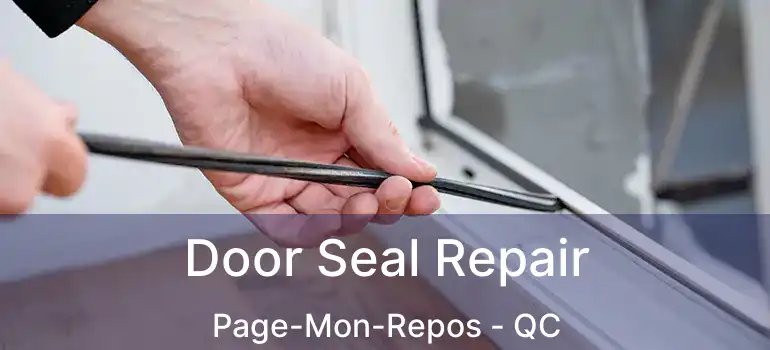  Door Seal Repair Page-Mon-Repos - QC