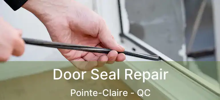  Door Seal Repair Pointe-Claire - QC