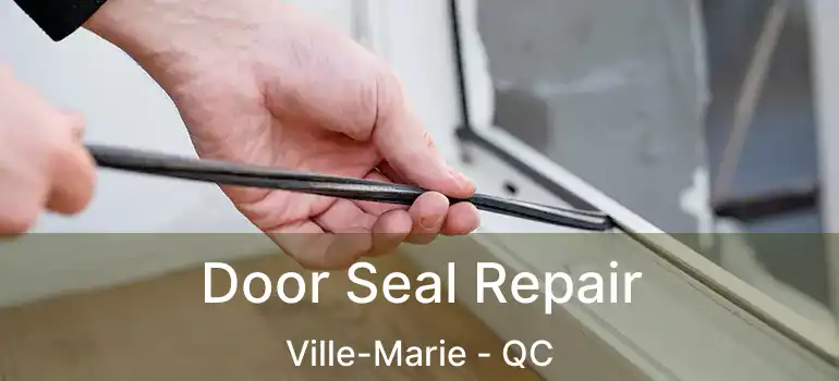  Door Seal Repair Ville-Marie - QC