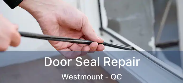  Door Seal Repair Westmount - QC