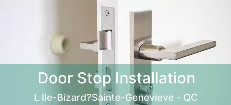  Door Stop Installation L Ile-Bizard?Sainte-Genevieve - QC