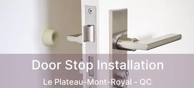  Door Stop Installation Le Plateau-Mont-Royal - QC