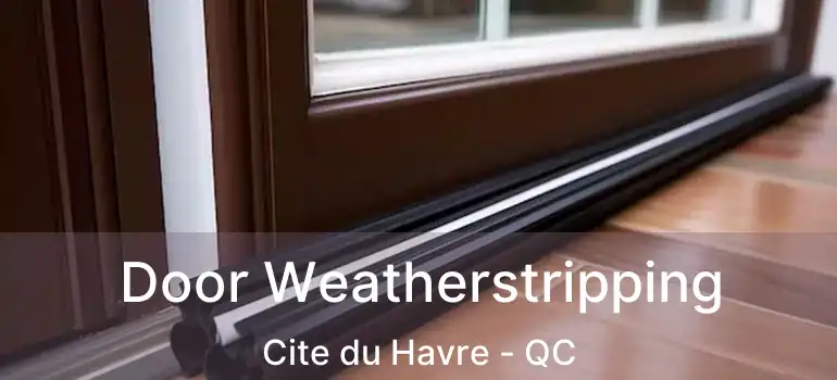  Door Weatherstripping Cite du Havre - QC