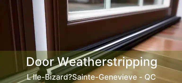  Door Weatherstripping L Ile-Bizard?Sainte-Genevieve - QC