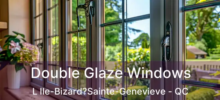  Double Glaze Windows L Ile-Bizard?Sainte-Genevieve - QC