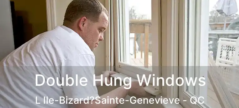  Double Hung Windows L Ile-Bizard?Sainte-Genevieve - QC