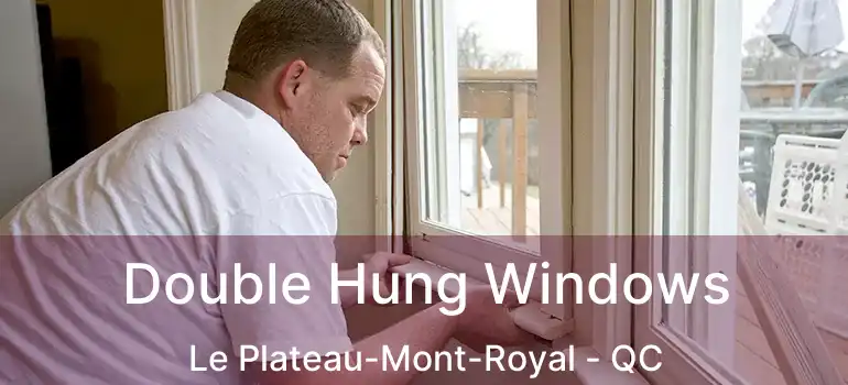  Double Hung Windows Le Plateau-Mont-Royal - QC