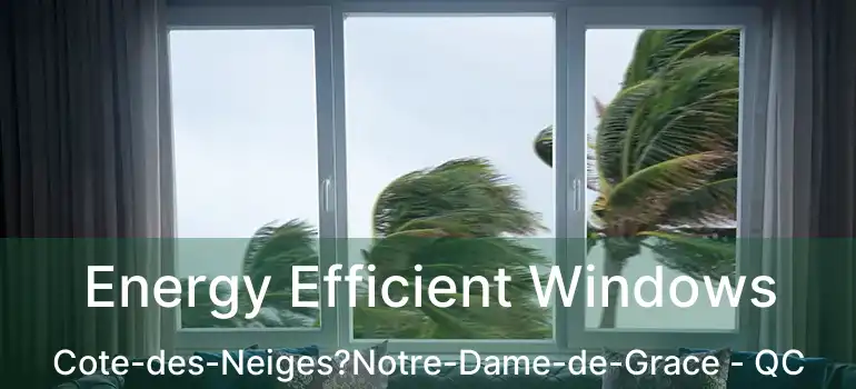  Energy Efficient Windows Cote-des-Neiges?Notre-Dame-de-Grace - QC