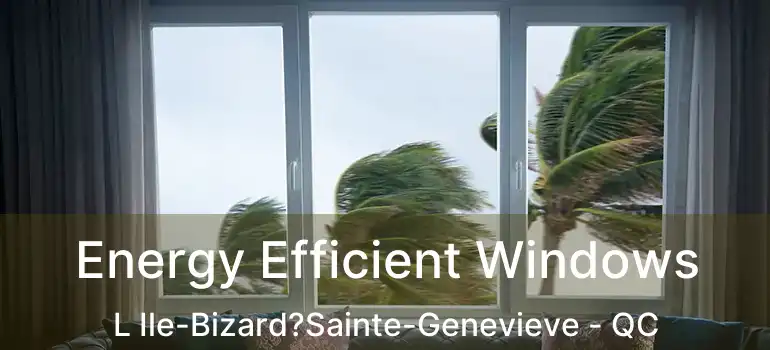  Energy Efficient Windows L Ile-Bizard?Sainte-Genevieve - QC