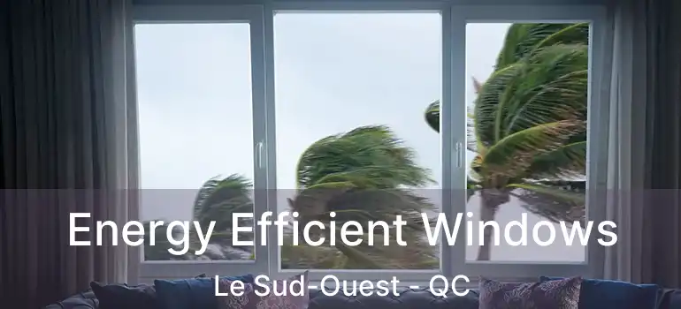  Energy Efficient Windows Le Sud-Ouest - QC