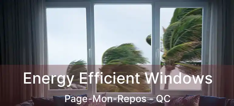  Energy Efficient Windows Page-Mon-Repos - QC
