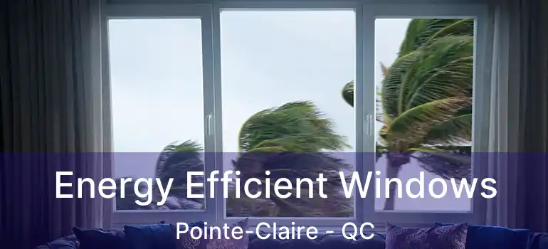  Energy Efficient Windows Pointe-Claire - QC