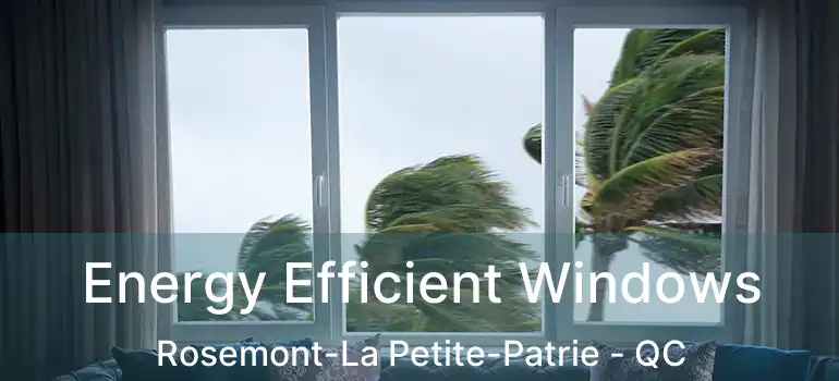  Energy Efficient Windows Rosemont-La Petite-Patrie - QC