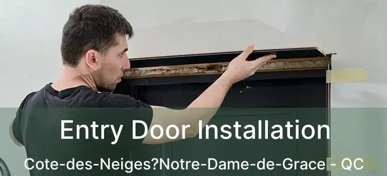  Entry Door Installation Cote-des-Neiges?Notre-Dame-de-Grace - QC