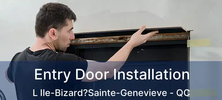  Entry Door Installation L Ile-Bizard?Sainte-Genevieve - QC