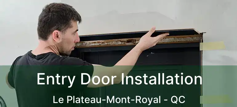 Entry Door Installation Le Plateau-Mont-Royal - QC