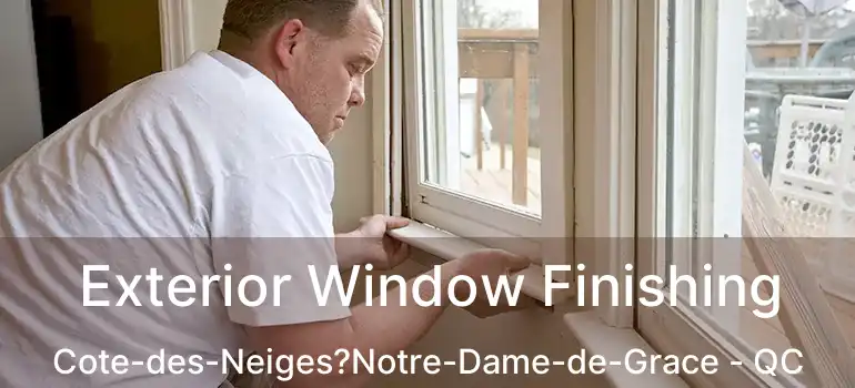  Exterior Window Finishing Cote-des-Neiges?Notre-Dame-de-Grace - QC